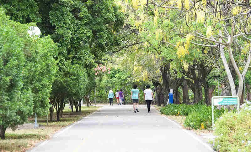 parque jaqueira recife.jpg