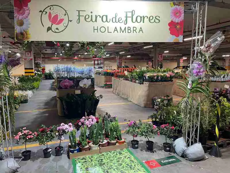 feira holambra.jpg