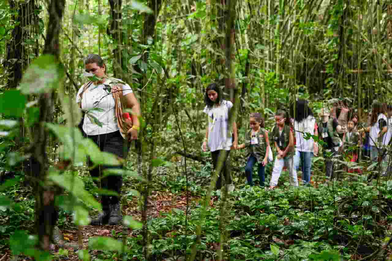 Parque Estadual De Dois Irmãos Tem Programação Especial Para As Férias Da Criançada Revista 1202