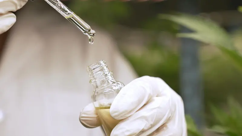 cannabis medicamento.jpg