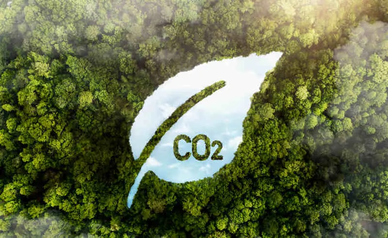 carbono zero.jpg