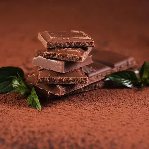 Dia do Chocolate.jpg