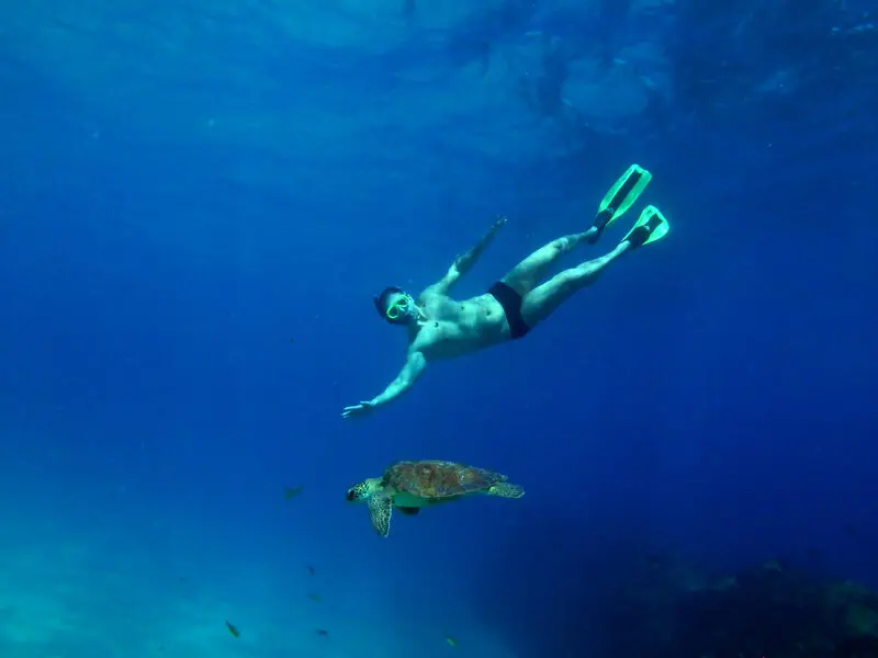 mergulo noronha.jpg