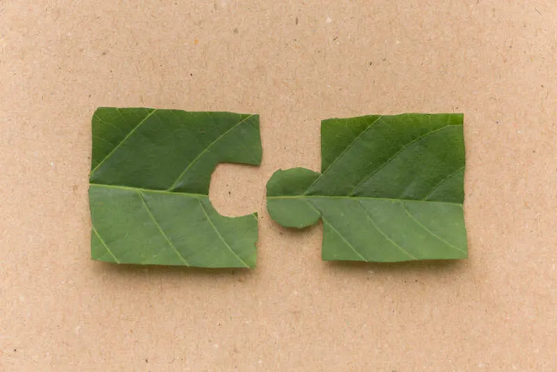 desenvolvimento sustentabilidade.jpg
