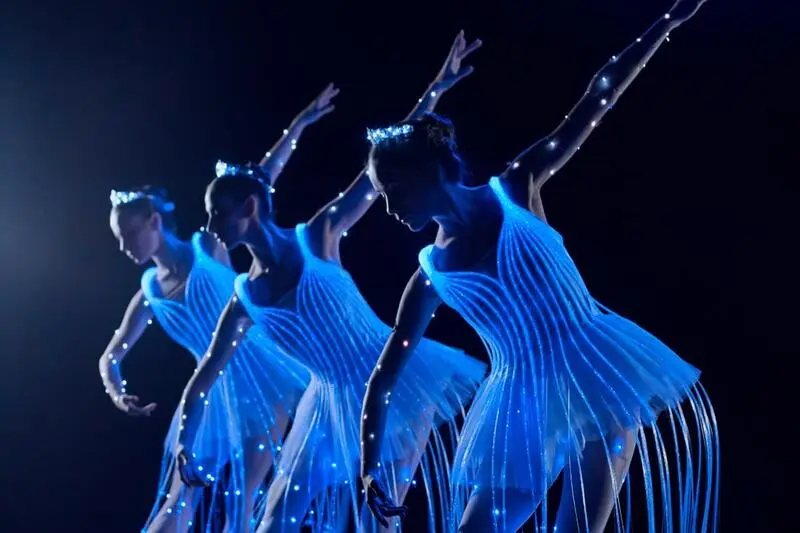 Espetáculo "We Call It Ballet: A Bela Adormecida" Encanta no Teatro RioMar Recife 7 We Call It Ballet.jpg