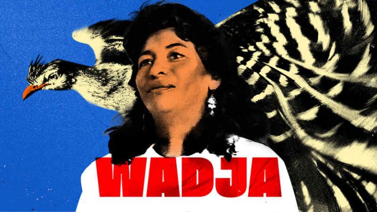 Wadja Divulgacao