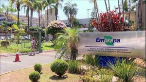 embrapa