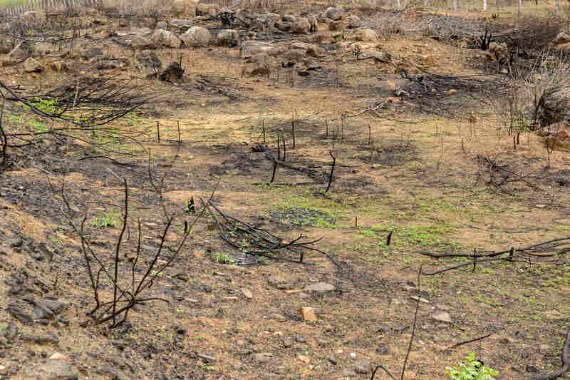 desertificacao