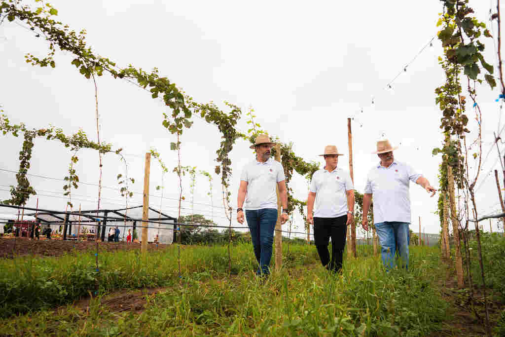 O arquiteto Sandro Guedes o empresario Guilherme Guerra e o enologo Paulo Laureano no vinhedo em Gravata CREDITO Carlos Souza