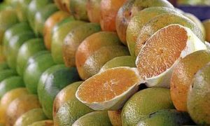 laranja gov sergipe