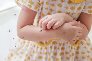 Mosquitos canva