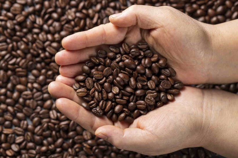cafe pe