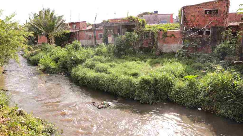 passarinho