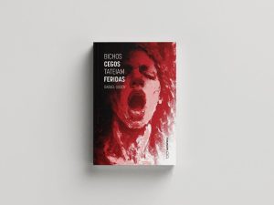 capa livro recife