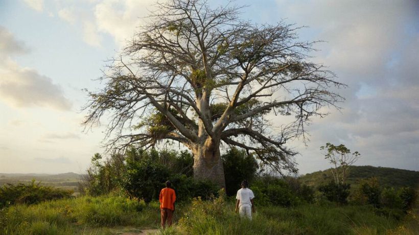 Jardim Ancestral. Credito Jose Rebelatto