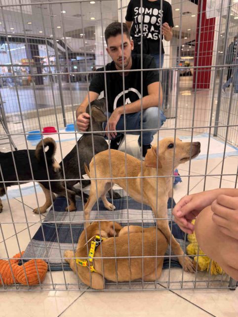 pet carrefour