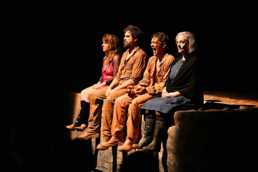 Camila Nhary Iano Salomao Armando Babaioff and Denise Del Vecchio in Tom at the Farm. Credit Victor Novaes