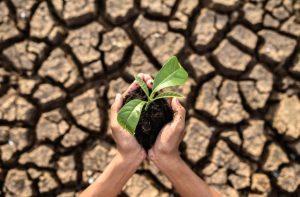 Emergencias Climaticas cred Freepik