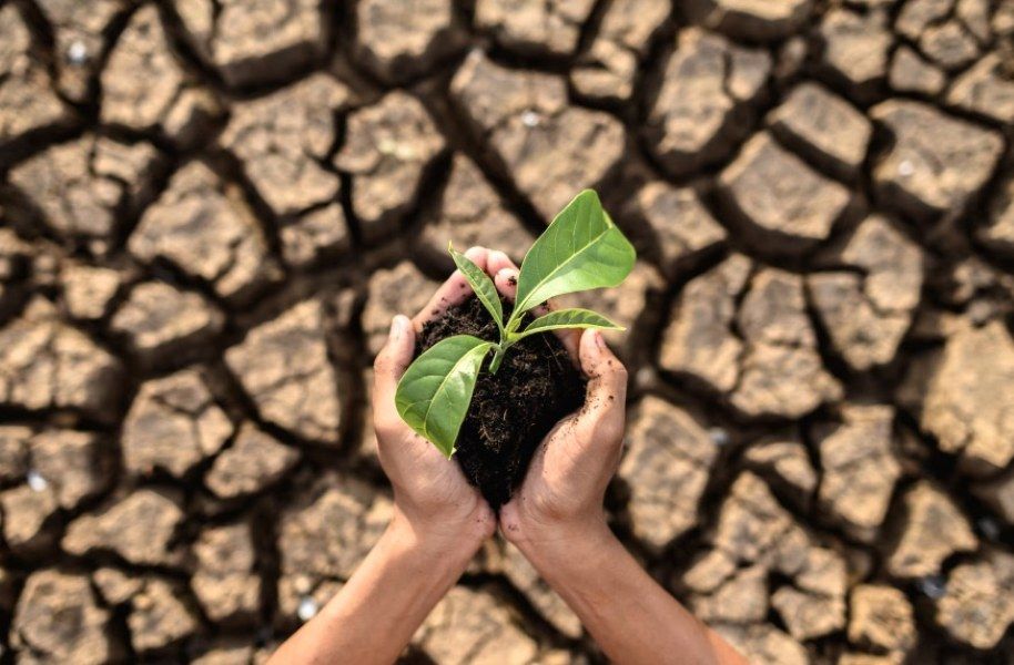 Emergencias Climaticas cred Freepik