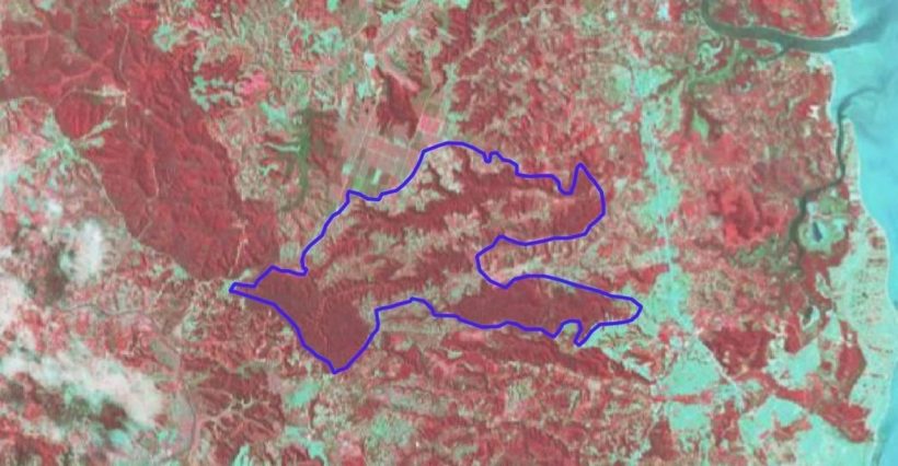 Mata da Pitanga 2010 Easy Resize.com