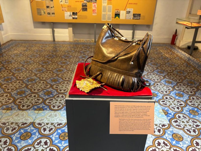 Bolsa marrom de Anatalia