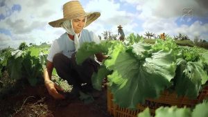 21 agricultura familiar