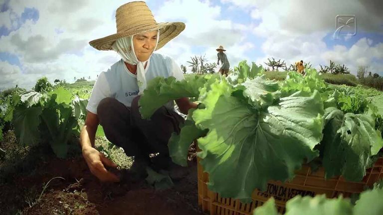 21 agricultura familiar