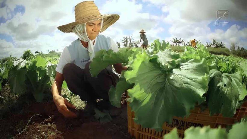 21 agricultura familiar