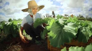 WhatsApp Image 2026 03 16 at 11.03.21