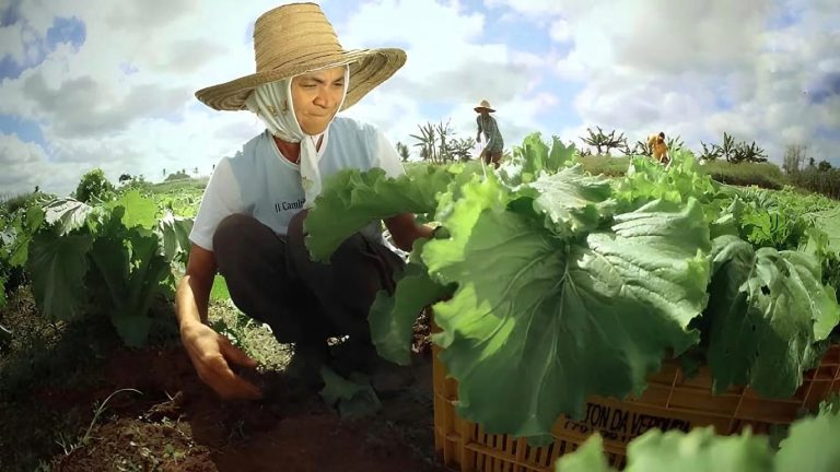 WhatsApp Image 2026 03 16 at 11.03.21