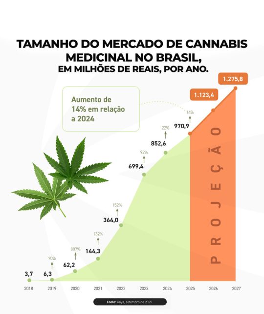 GRAFICO.01 3 Easy Resize.com