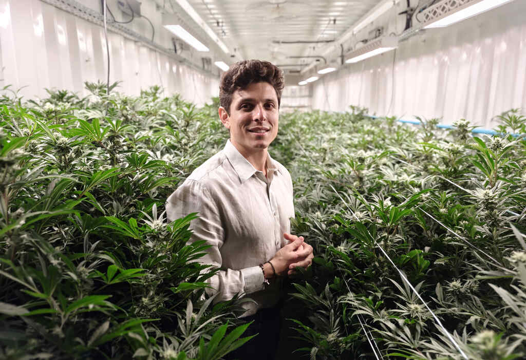 Ricardo Hazin Easy Resize.com