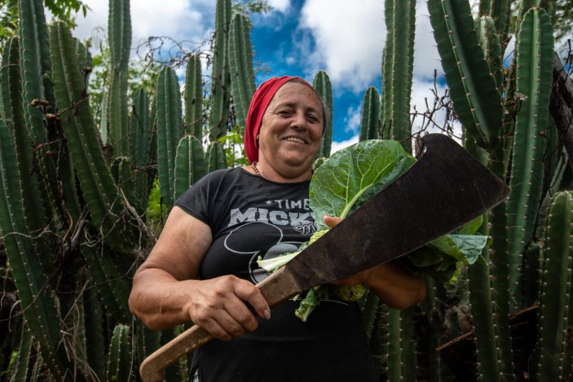 WhatsApp Image 2026 04 02 at 12.08.40