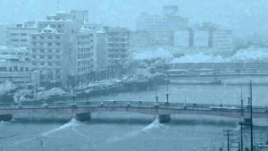 WhatsApp Image 2026 04 27 at 14.19.54