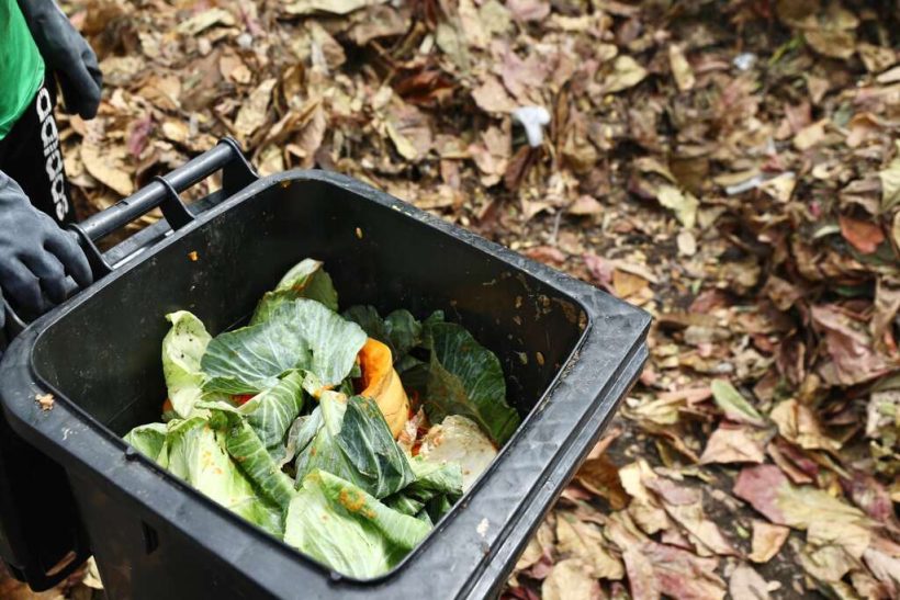 reciclagem Helia Scheppa PCR 2