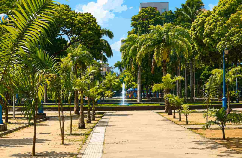 Parque 13 Maio