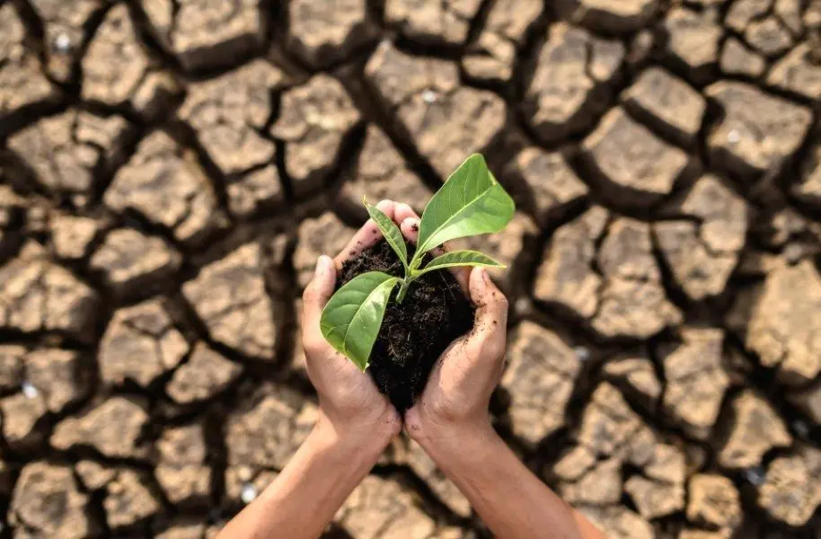Resiliencia Climatica 1